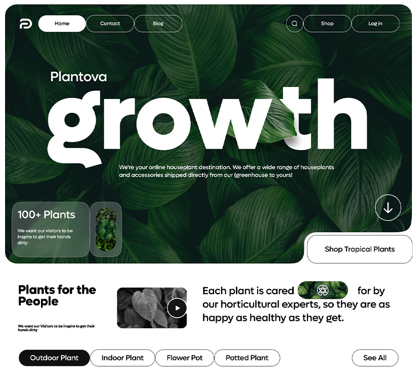 Growth Showcase